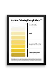 Framed Urine Color Chart Pee Color Chart Water Intake