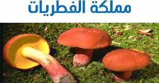 .الفطر ومعرفة تأويل الفطر في حلم العزباء والمتزوجة والحامل ومعنى الفطر الكبير والفطر الأبيض ودلالات جمع الفطر، الفطر هو عيش الغراب ويسمى بالفطر نسبة لأنه فطر مثمر ينمو فوق الأرض خاصة في الغابات والمناطق العشبية، وهناك أنواع من هذا الفطر منه ما هو سام ولا. Biology1 Ø§Ù„ÙØµÙ„ Ø§Ù„Ø®Ø§Ù…Ø³ Ø§Ù„ÙØ·Ø±ÙŠØ§Øª