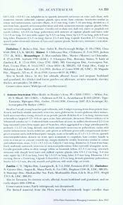Image result for Anisotes bracteatus
