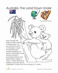 Koala Worksheet Education Com Australia Animals Australia For Kids Koala