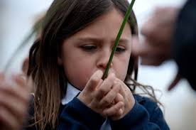 17 Mile House Farm Park in Arapahoe County drawing big crowds
