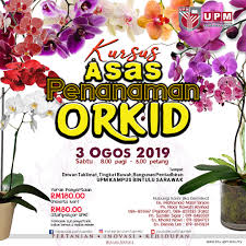 Maybe you would like to learn more about one of these? Kursus Asas Penanaman Orkid Universiti Putra Malaysia Kampus Bintulu Sarawak