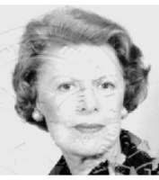 PAM LEVIN Obituary (2010)