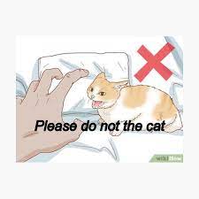 Meme dump and pick my xbox gamerpic album on imgur meme funny xbox gamerpics is a free hd wallpaper sourced weve gathered our favorite ideas for 1080x1080 images memes explore our list of popular images of 1080x1080 images memes and download. Please Do Not The Cat Meme Poster By Cnon626 Redbubble