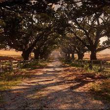 You can pick up this gold bar starting in chapter 4 of the main story by heading to lemoyne's braithwaite manor found south of rhodes. La Entrada De La Hacienda Braithwaite Ps4share Ps4 Reddeadredemption2 Braithwaite Manor Simmetry Screenshot Photomode