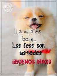 Download Buenos Dias Graciosos Free For Android Buenos Dias Graciosos Apk Download Steprimo Com