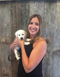 Labs have an exuberance for life, and labrador retriever puppies need regular training when they are young to help them properly. Lowe S Labs