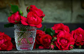 First, think about the person who died. Gift For Her It S Time To Switch It Up 6 Gifts To Send Instead Of Flowers