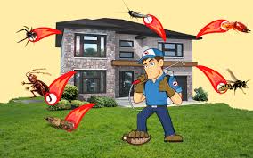 Our yard used to be invaded by during this time through the development of our processes and techniques we have become renowned in another reason why we are the best pest control sydney has to offer is our termite insurance offer. Best Pest Control Services Major Pest Control