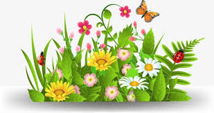 Flowers To Png And Vector Garden Clipart Flower Border Flower Images