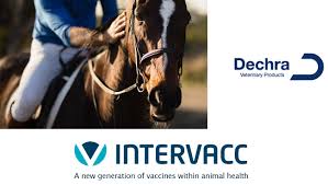 Region stockholm sätter vaccination av personal på paus. Intervacc Ab And Dechra Pharmaceuticals Plc Enter Into An Agreement To Commercialize Strangvac In Europe Intervacc