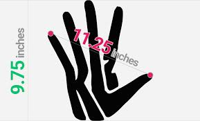 Kawhi leonard isn't the only player with enormous hands to grace the league. Leonards Hand Is 9 75 Inches 24 77 Cm Long Drbelkin On Scorum