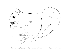 Just print out the tutorial and follow along with the simple step by step process. Learn How To Draw A Squirrel Wild Animals Step By Step Drawing Tutorials