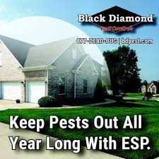 Identification is key when controlling household pests. Black Diamond Pest Control Lexington Ky 320 Cutters Hill Ct Lexington Ky Pest Control Mapquest