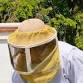 Introduction to Beekeeping event image