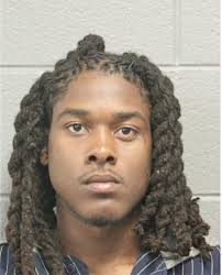 ᐅ Illinois Criminal Records 2009-2025