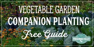 Free Comprehensive Companion Planting Chart For Vegetables