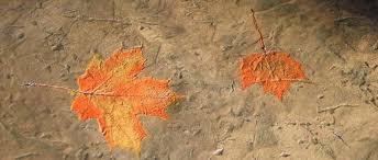 Maybe you would like to learn more about one of these? 4 State Decorative Concrete Supply Posts Facebook