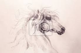Beim zeichnen muss man sich auf die details konzentrieren und entscheiden, wie sie zusammen verbunden werden. Zeichnung Pferd Auf Altpapier Original Hand Zeichnen Fototapete Fototapeten Schone Rennpferd Mystiker Myloview De