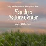 Help Remove Invasive Plants