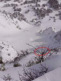 ⚠️注意喚起⚠️】浅間山・トーミの頭で、滑落事故現場に遭遇しました。2022年2月19日(土) - 50代からのお気楽山登り