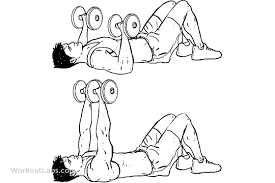 Dumbbell Floor Chest Press Workout Guide Floor Workouts Dumbbell