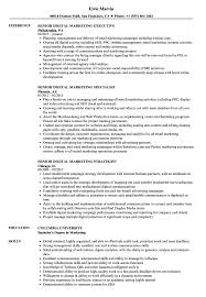 senior digital marketing resume samples