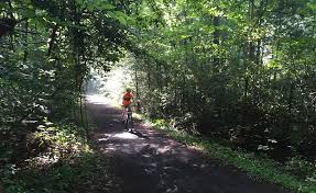Places to stay creeper trail bike rental. Family Vacation Bicycling The Virginia Creeper Trail Charlotte Parent