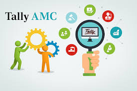 Tally support and annual maintenance services