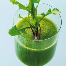 Gruner Smoothie Wilde Hilde Rezept Grune Smoothies Wilde Hilde Smoothie