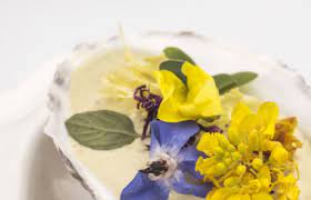 Ecco un elenco di siciliane e siciliani famosi del passato che con la loro attività hanno cambiato il corso della storia: Migliori Chef Siciliani 9 Grandi Nomi Stellati E Non My Luxury