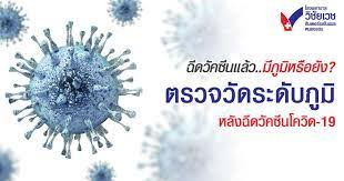 กรมวิทย์ ไม่แนะนำตรวจภูมิคุ้มกันด้วย rapid test หลังฉีดวัคซีนโค. Nho8l Cbmu3bim
