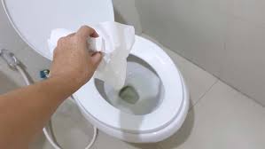 Find everything you need for home decor, maintenance, repair, diy, cleaning, hacks and more. How To Dissolve Toilet Paper In A Sewer Line