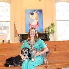 The most enjoyable part of the job are the animals that you are helping to save and building relationships with. Pet Care Center Clinic Esplanade 14 Photos 27 Reviews Veterinarians 938 Esplanade Ave New Orleans La Phone Number