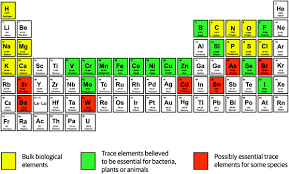 Metallomics Whence And Whither Metallomics Rsc Publishing Doi 10 1039 C2mt90041f