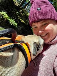 Jay is the smallest hiking partner I've ever had, but he absolutely loves  hitting the trails.