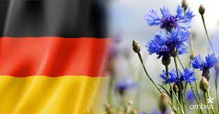 Ambius Uk On Twitter Russia2018 Germany Vs Mexico Did You Know Germany S National Flower Is The Centaurea Cyanus Aka Cornflower The Dahlia Was Declared The National Flower Of Mexico In 1963