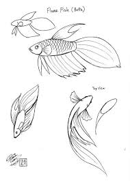 Pin By Ignacio Ali On Art Fish Drawings Art Animal Drawings