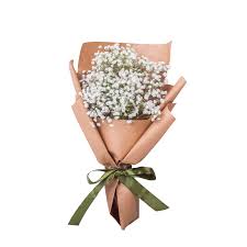 We did not find results for: Baby Breath Bouquet Singapore Farm Florist Singapore