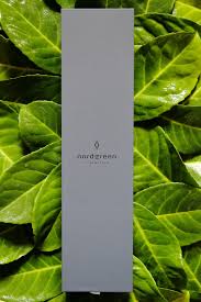 The brand sunday coupon code. Black Friday 2020 The Biggest Discount Code For Nordgreen Watches Treasure Every Moment