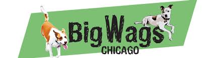 Maybe you would like to learn more about one of these? Big Wags Chicago Dog Training And Dog Walking Alignable