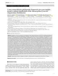 Image result for Cyrtorchis glaucifolia