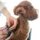 Nail Trim Saturday (3rd Saturday every month)