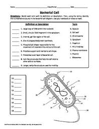 Pin On Children S Printables