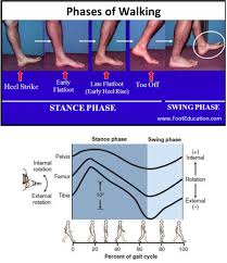 Image result for Ankle External Rotation Test