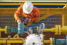 Fujairah investment company has established companies encompassing a diverse range of sectors mainly in trading and services sector. Annual Maintenance Services Process Automation Maintenance Service