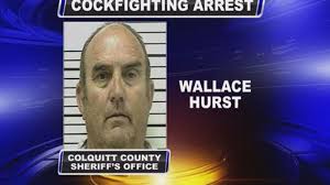 Man sentenced after cockfighting arrest