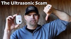 And the pests they target. Proof That Ultrasonic Pest Repellers Are A Scam Class Action Lawsuit For Fraud Mousetrap Monday Youtube