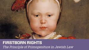 Chabad Weekly Newsletter