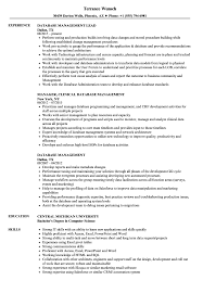 Database Management Resume Samples Velvet Jobs
